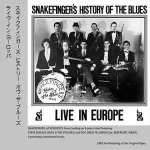 Snakefinger's history fo the blues : live in Europe